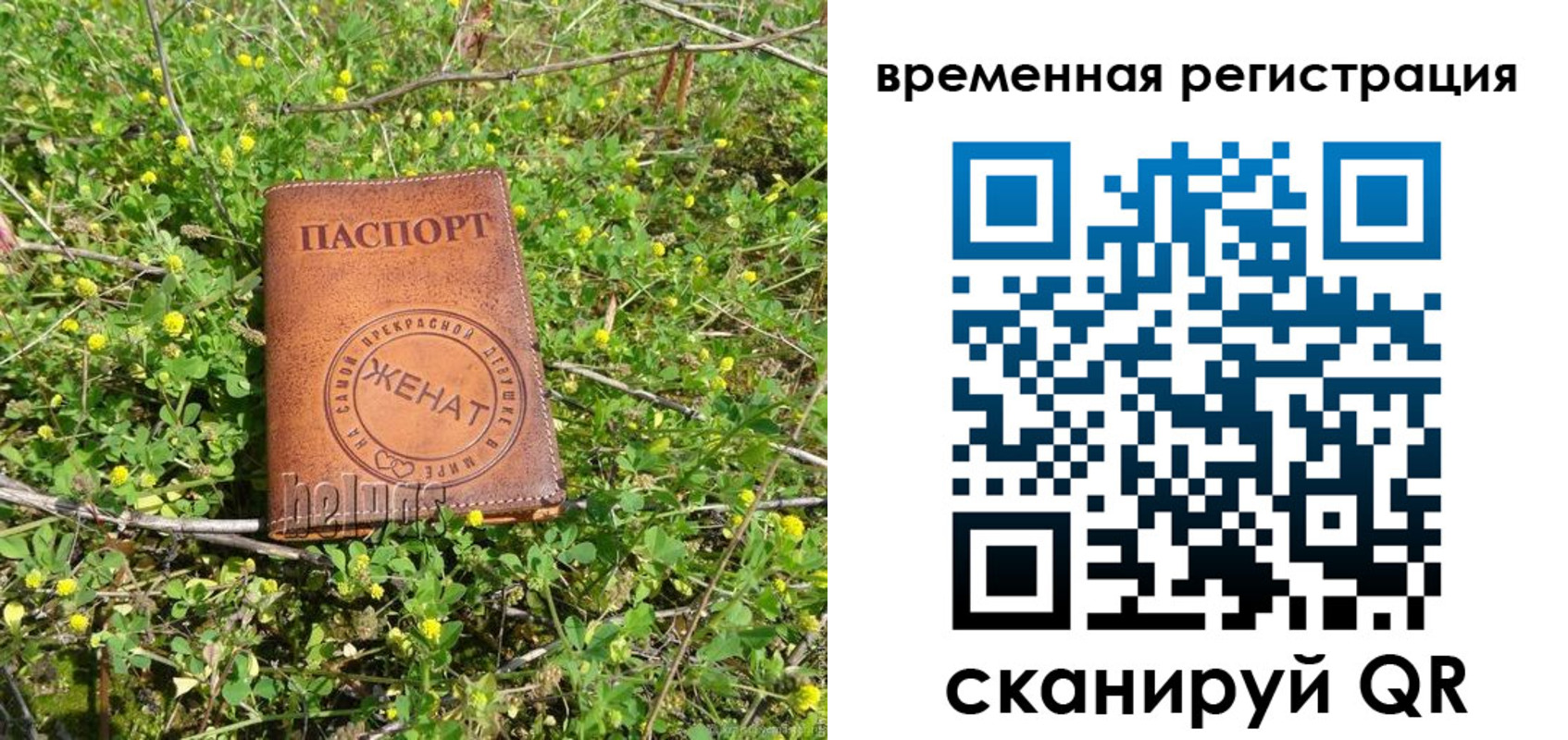 прописка регистрация в Гаврилов-Яме